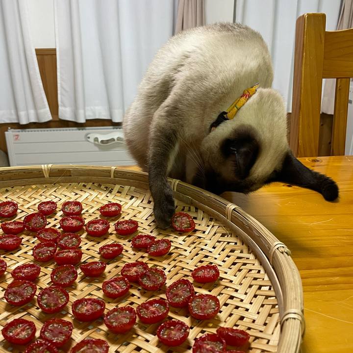 52e8e697 2172 4720 9f01 1ee544bc7bec 1722801245841