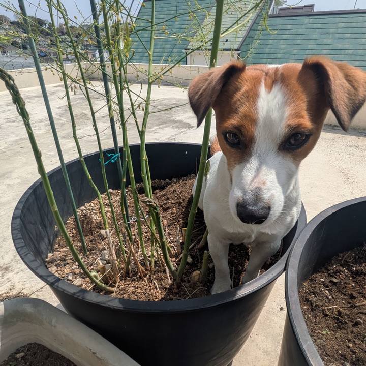 52e90621 7d72 4fde a92d eee87c31c48d 1744080009842