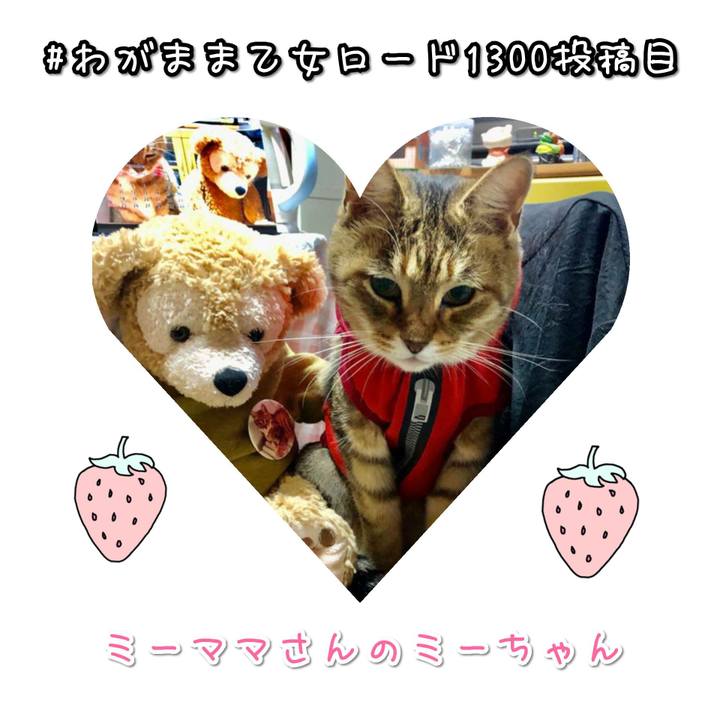 52e92bff 9eac 4d12 96ac 8bbcc1339618 1573296947527