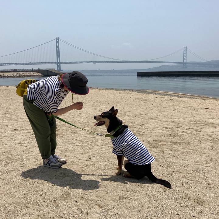 52e92ee8 3a29 4070 86d5 ed20f30767bb 1620559902969