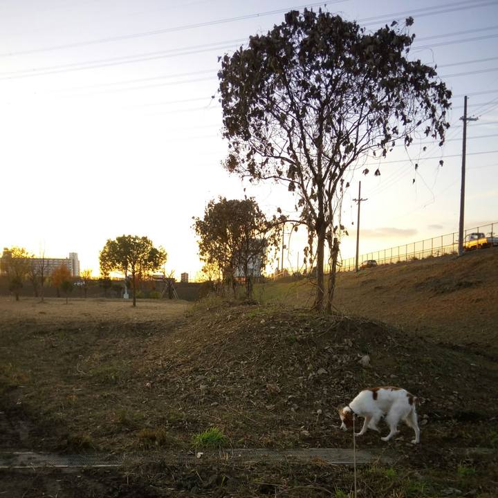 52e94069 6a48 4e0a 85c6 fb52dc1bc26e 1512202986626