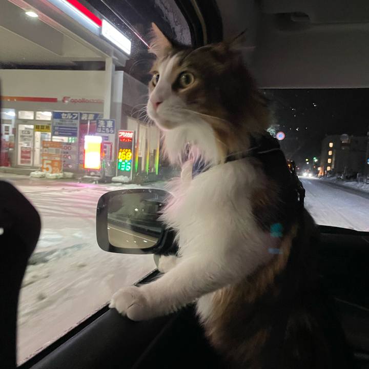 52e95306 6244 4072 9371 22a970601955 1669987886492