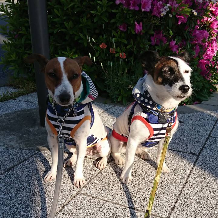 52e968a1 1a15 4070 af6e 6a57c19039e9 1557438695105