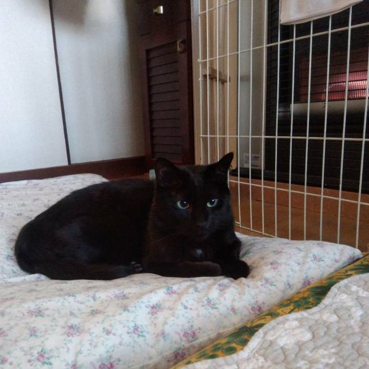 52e99faf 65ae 4f5c af3e 00337ac0b207 1611551613723