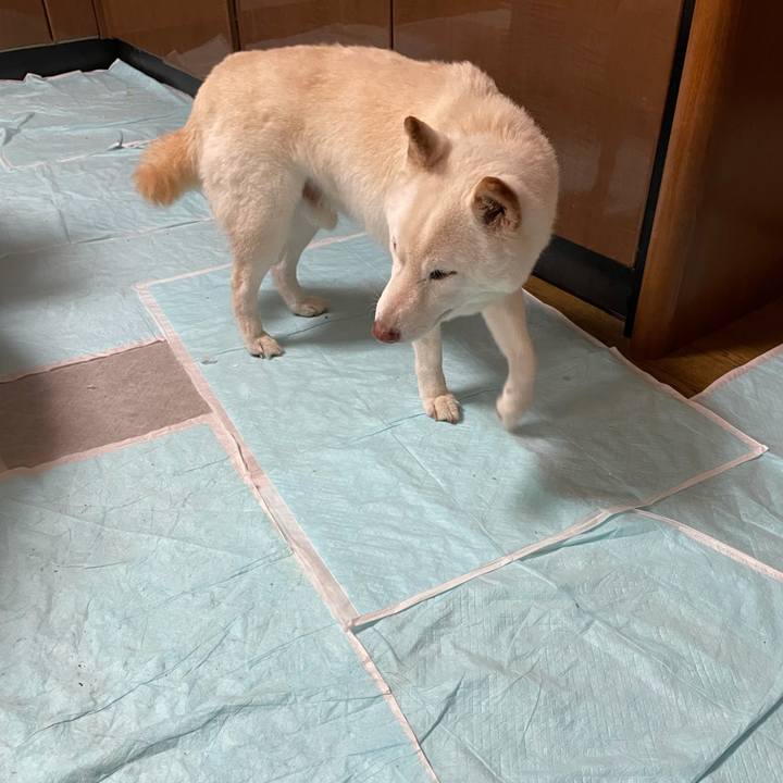 52e9b61e 3d1d 4e94 867d a226dbd5d144 1634634748035