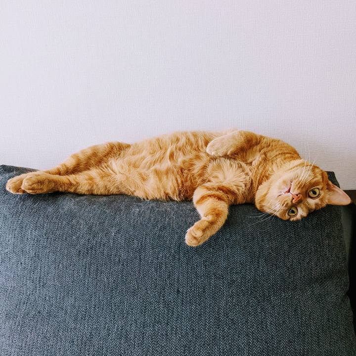 52e9c582 02cc 4aff b239 4acb50eaae4e 1654210133763