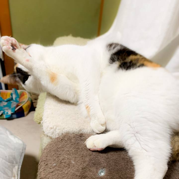 52e9f46a a620 4728 ab62 28d350b5e290 1585447071395