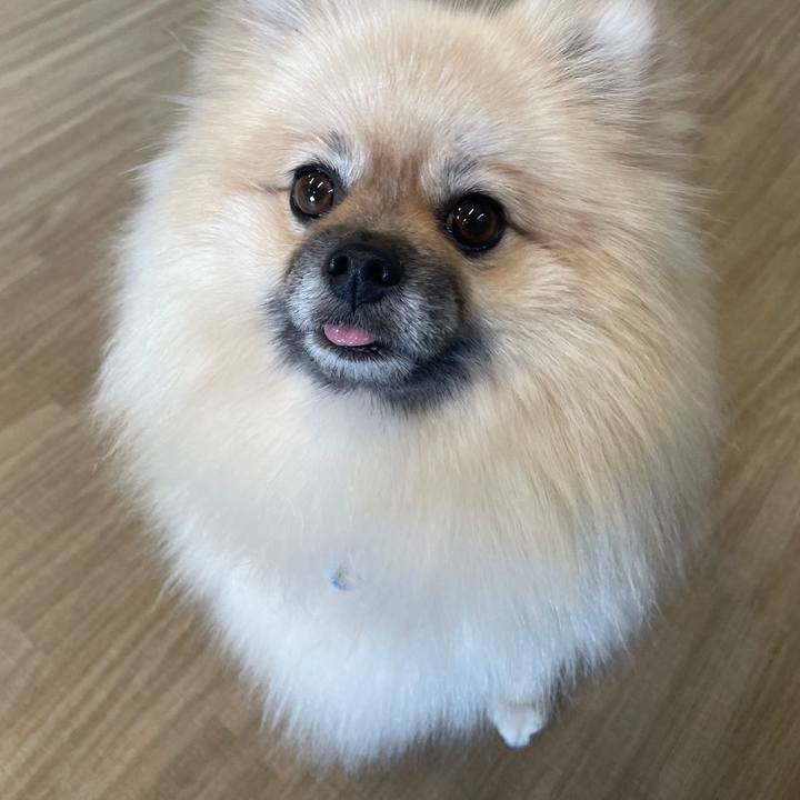 52ea0b5b 2b38 43f3 9726 128b2c7b76ea 1695783587366