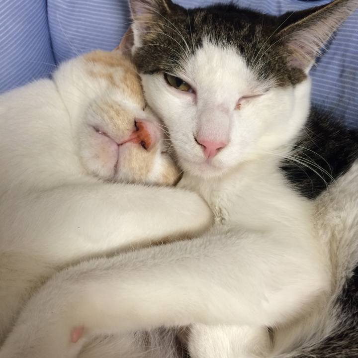 52ea38b6 014d 413e 94d6 20a2725afb0e 1508857477621