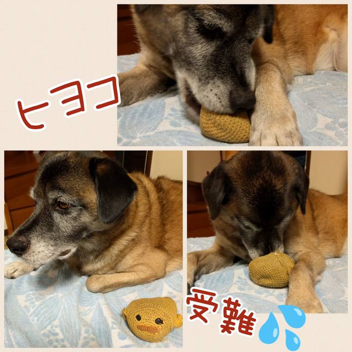 52ea4682 6625 4915 90aa 4754e8f7c35a 1685756042587