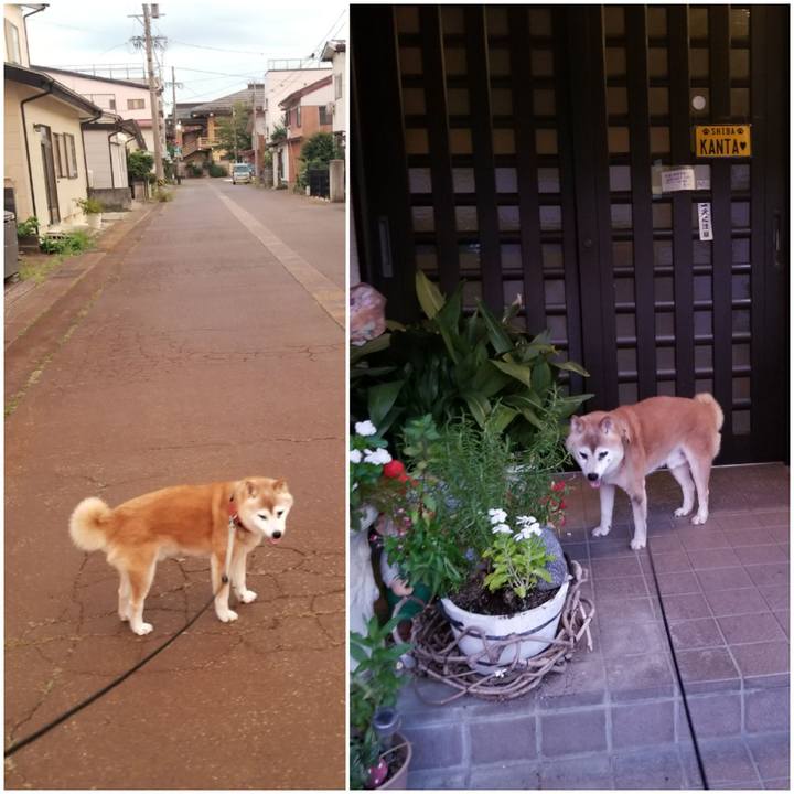 52ea55ba 532e 46c3 b8f5 ef35b1b6bea8 1753611140754