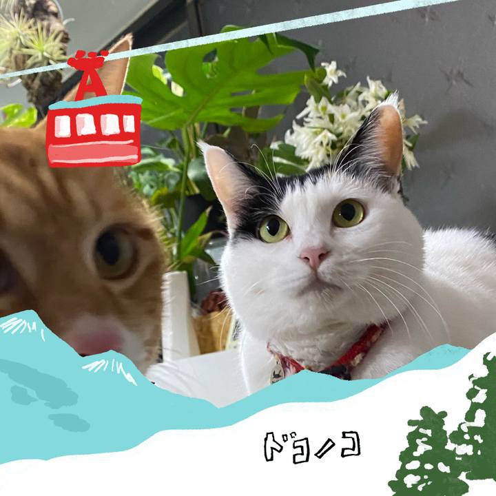 52ea6f50 b927 4bdd b638 be4eb7bf99c1 1706796024363