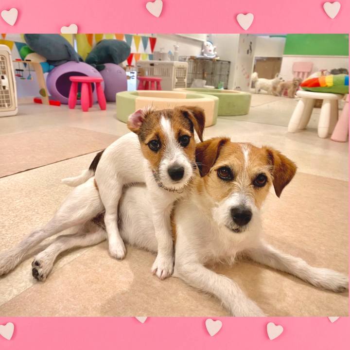 52ea7208 2e3e 44fa b582 b69c4a044972 1652096917294