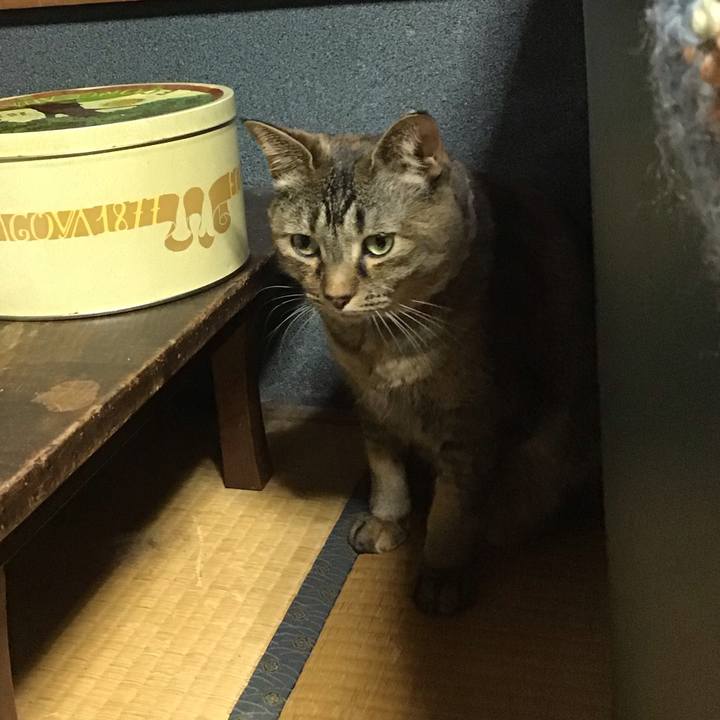 52ea7c5d c190 40e8 9fe6 d5226f2ab5c1 1713523502182