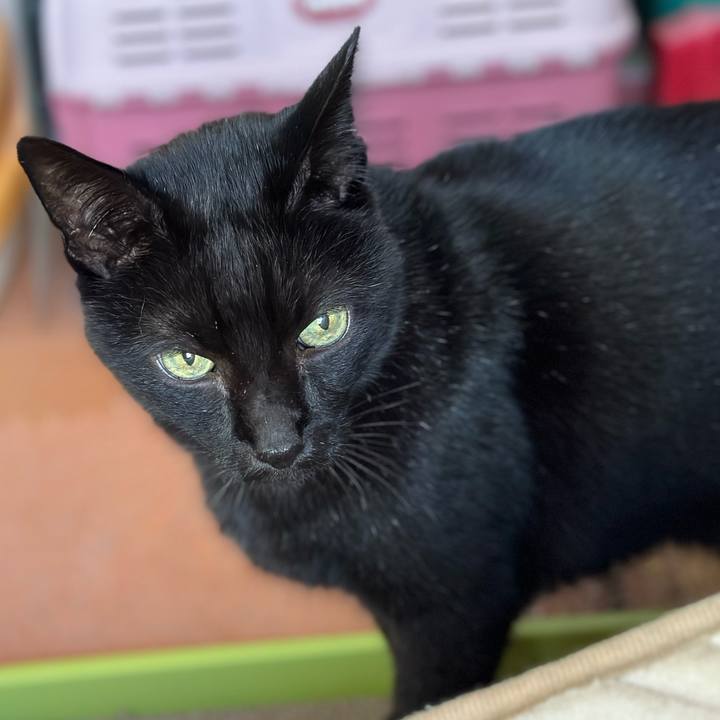 52ea9834 bdb1 4220 b6dd 0bf4699c86b5 1668822885691