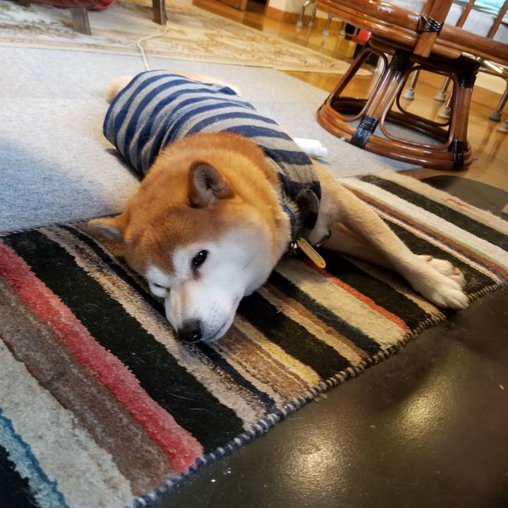 52eac57b 1138 4e69 97e8 a3182a53a25b 1579738203524