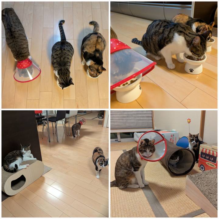 52eb021c 2f62 42c5 8139 5e899f760231 1762672920518