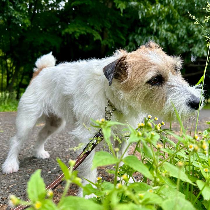 52eb1621 6f8a 4587 b076 bb137b5213f7 1748060311293