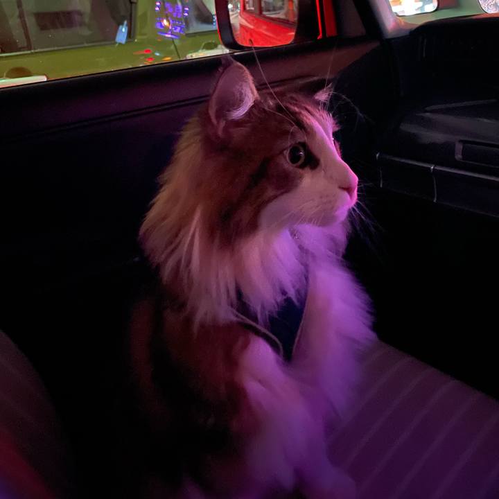 52eb4150 ec3b 4dcb a98b c4c17f5bb2da 1669988402154