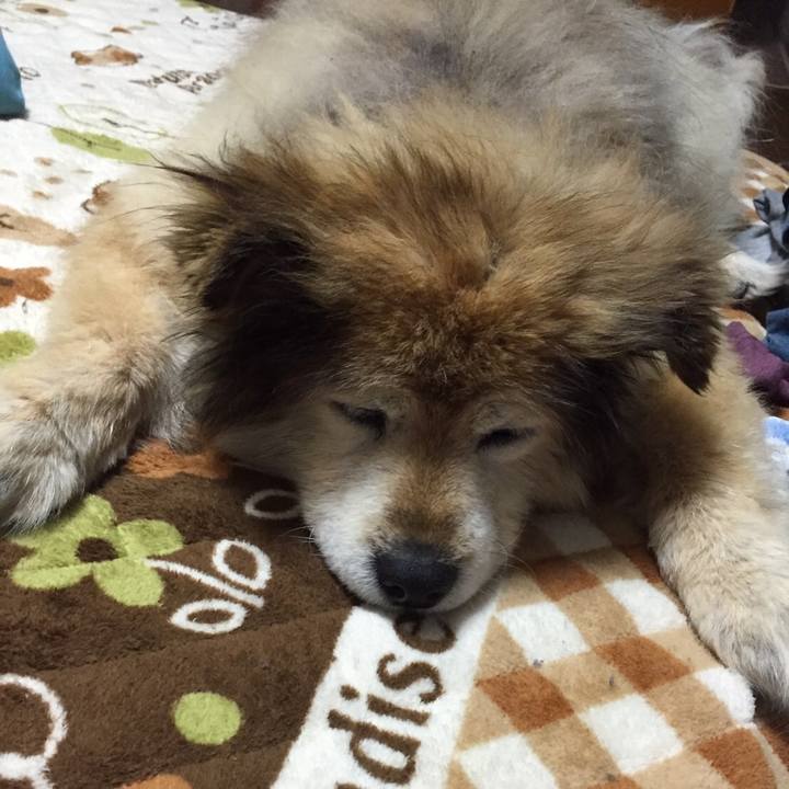 52eb4499 cb0d 4b03 8c3c 375d0e240942 1567740653680