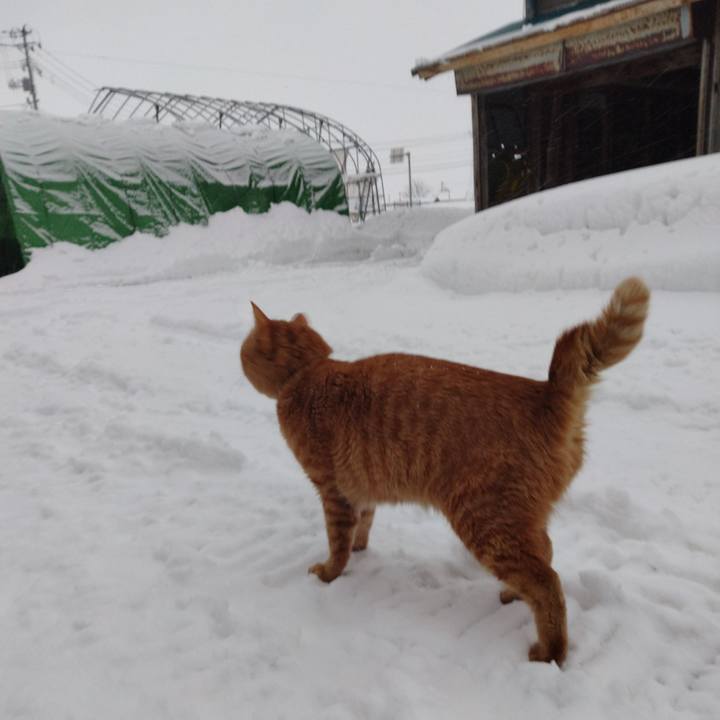 52eb5fb4 4356 40de ab9e 8197344a3ff6 1674720458304