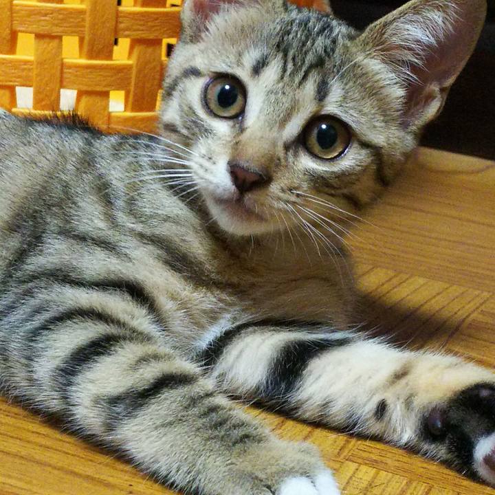 52eb6c68 0fc9 4062 aed6 5e9ffb1c410e 1763170263664