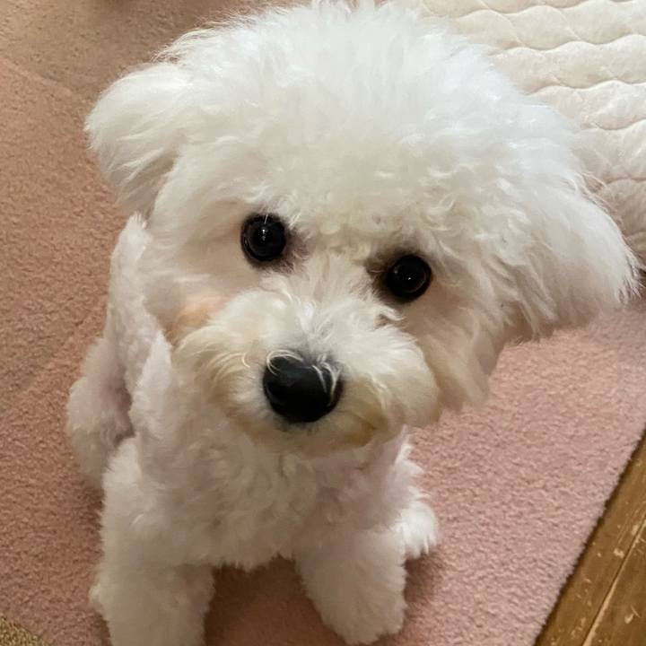 52eb82e7 4175 4b24 9f4a 30f12c0829d1 1756265723575