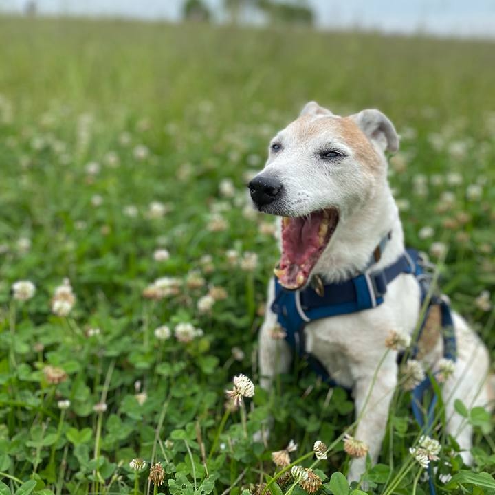 52eb8306 de55 4b77 9686 772eb8d821da 1653120161847