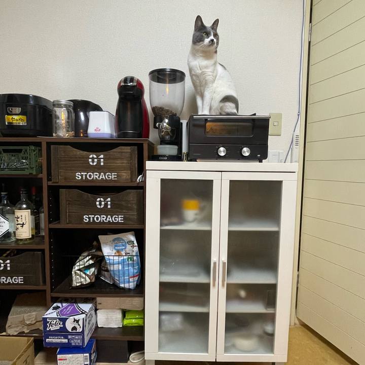 52eb8883 67f4 4bc8 b2e2 1111920a2657 1669274019419