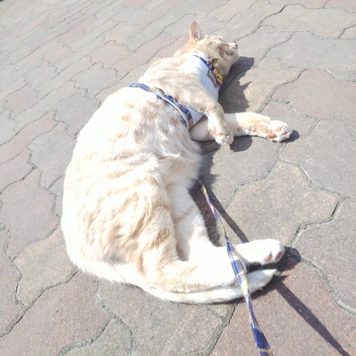 52ebad47 1d21 4c04 9dc9 25c39e79e645 1585971700352