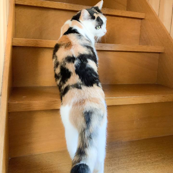 52ec05d1 93c4 4161 a29d 008fd437391a 1572835124434