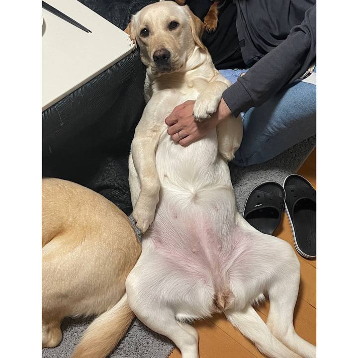 52ec195d c566 4c78 927a 60926d6bb757 1644923696683