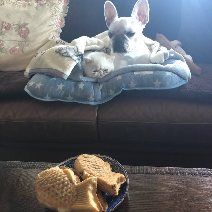 52ec290a f721 4d4d 8827 6b7d70879819 1546154572956