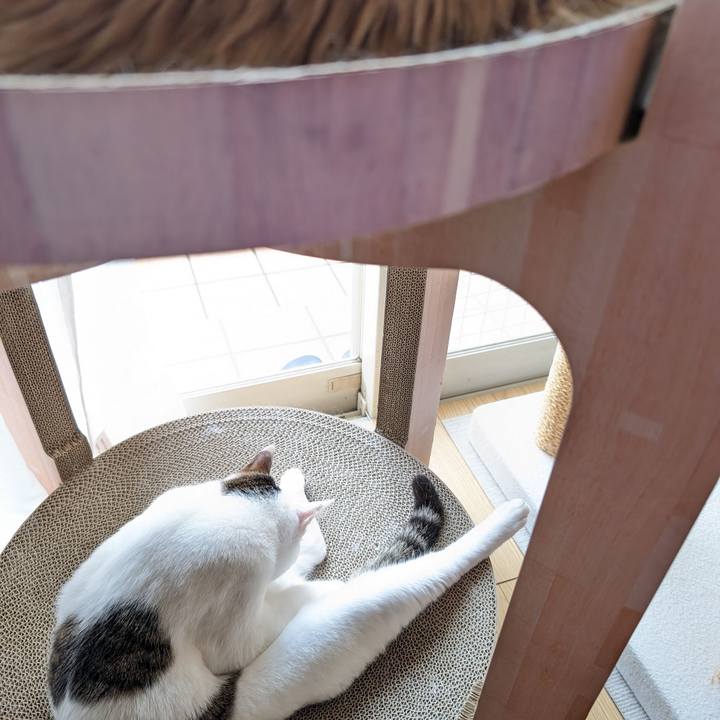 52ec5180 ef60 4e24 baa0 1caecb051e11 1717827856213