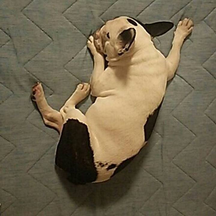 52ec5a84 3412 47e6 b392 9258cc7480ac 1530972333985