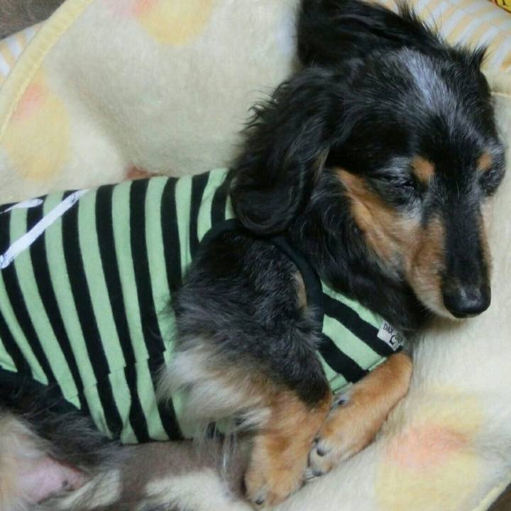 52ec8651 c189 469c a03a 32ddb916bf75 1525653474428