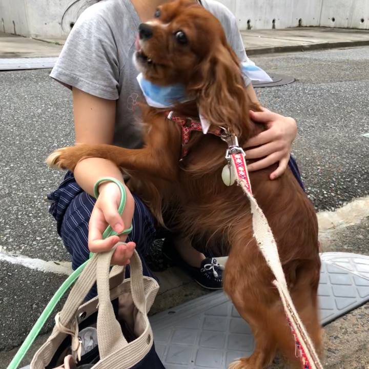 52ecb6f1 7c62 4e0b a2c5 dc2b6c77d123 1596368098846