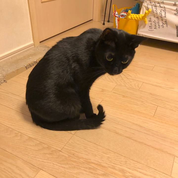 52ecdc5d 3f4e 4dcf afac 830c322dbd71 1554904187672