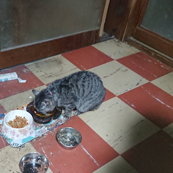 52ecf205 7e09 4648 86b8 71afecbe29fb 1582317929167