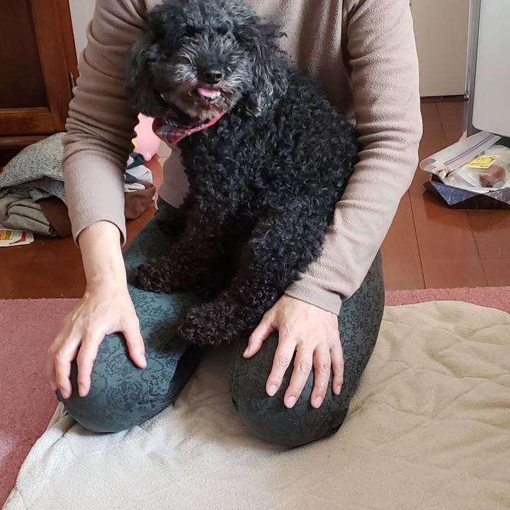 52ed3626 64c7 4087 8271 4099c3d2562e 1543021770501