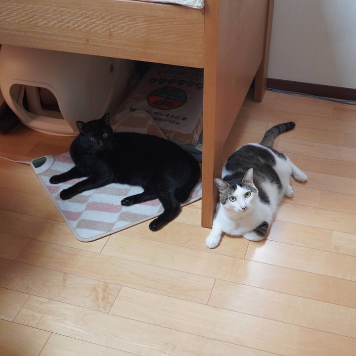 52ed5537 9b7e 4e39 9551 c95275fac2a5 1600779080564