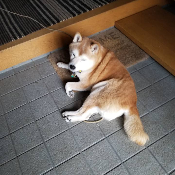 52ed8078 147f 4c0c a4ff 3f05ebbc7cb7 1668311965802