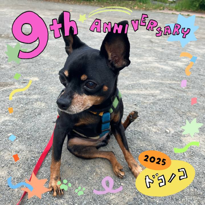 52ed8e6d 2dfd 4f9e a2d1 99eff654759a 1749244545024