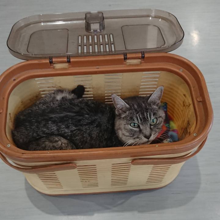 52edb93b 4665 4384 a2d4 caaa4842cbfe 1580540129860