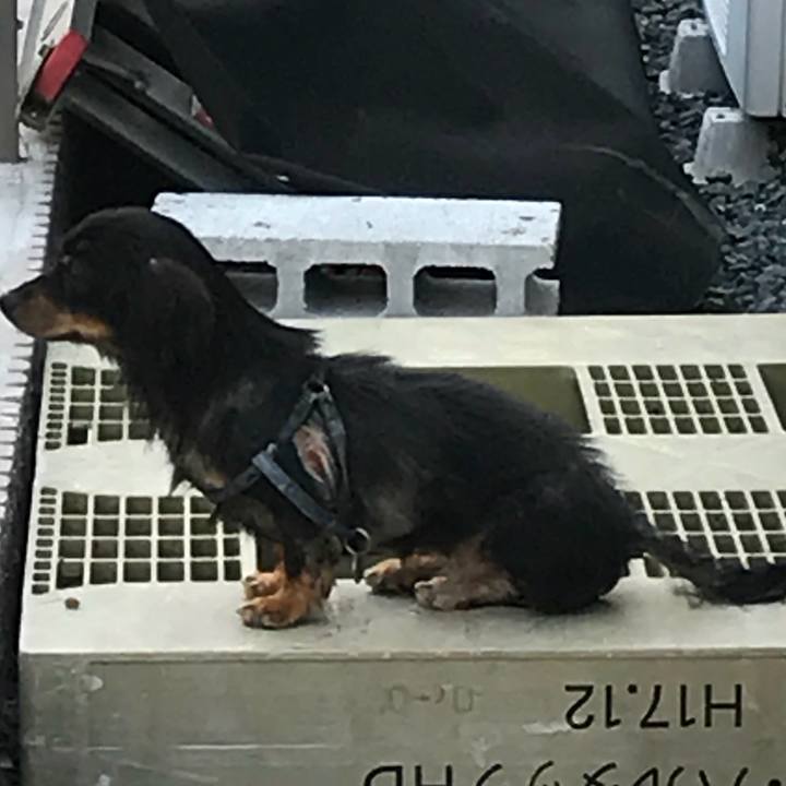 52ee18c9 ccbd 42aa 9519 c9efb2f44373 1535505054656