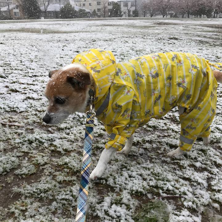 52ee4040 c283 4d46 9b21 3916f9f6ad27 1585448434200