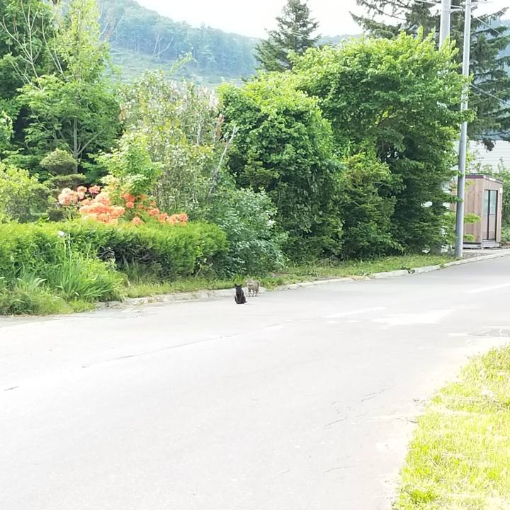 52ee5c72 4b7a 4f18 86ae b19a199e727a 1592220803728