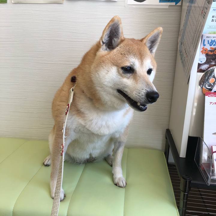 52ee9fd8 0fc5 42a5 b427 d988f411532c 1549261172803