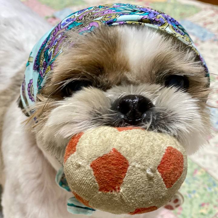 52eed4bb a347 4224 b65a a3bcd9cde2a0 1631526715856