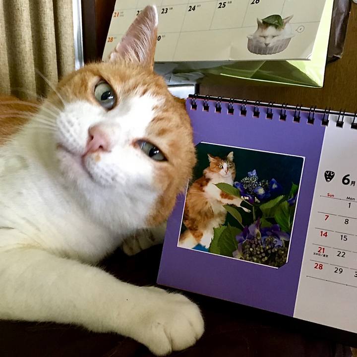 52eed8ab 242d 45e4 89cd ab2a99698391 1590994821986